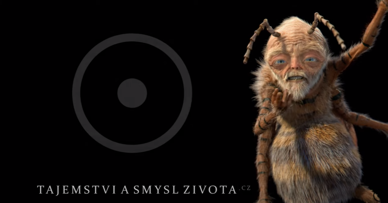 TASZ Cmelda